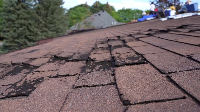 Best Roof Maintenance and Cleaning  in Dexter, OR
